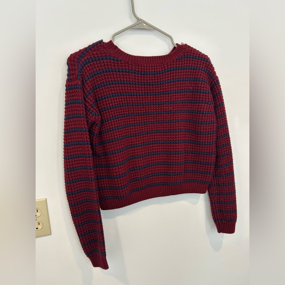 Forever 21 Burgundy and Navy Striped Sweater Cropped